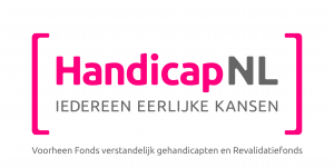 logo handicapNL